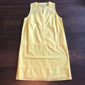 NWT Loft dress